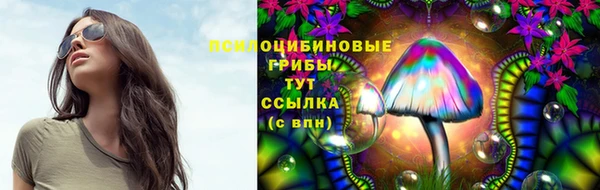 мяу мяу мука Верхний Тагил