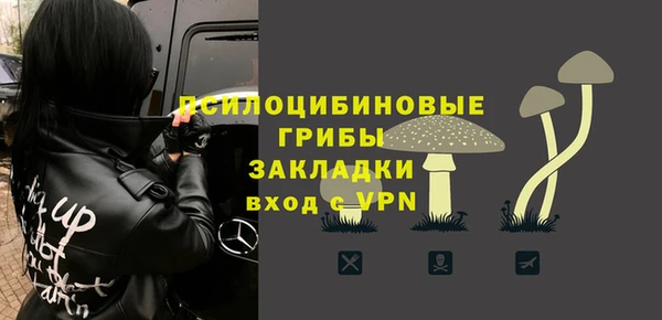 Альфа ПВП Богородск