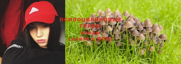 мяу мяу мука Богородицк