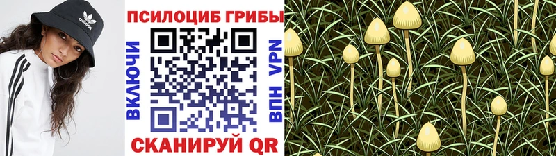 Псилоцибиновые грибы GOLDEN TEACHER mega сайт Волжск купить наркотики сайты