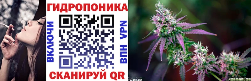 дарнет шоп  Волжск  Бошки марихуана ГИДРОПОН 